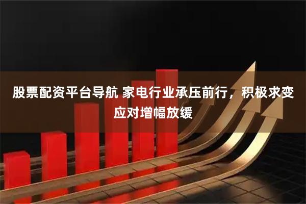 股票配资平台导航 家电行业承压前行，积极求变应对增幅放缓